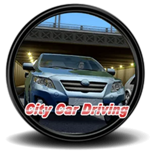 City Car Driving +BeamNG.drive®️Steam (GLOBAL)