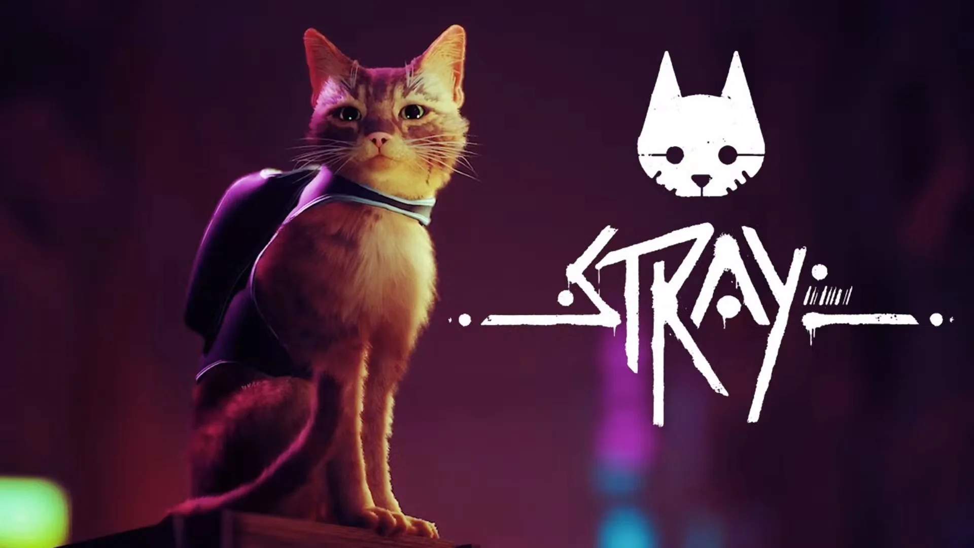 Stray+ОБНОВЛЕНИЕ+ГАРАНТИЯSteam
