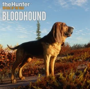 theHunter: Call of the Wild - Bloodhound Steam Global