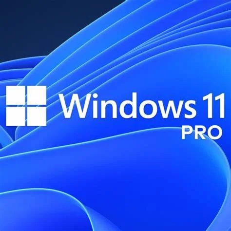 Windows 11 Pro 32/64 bit License key  Warranty