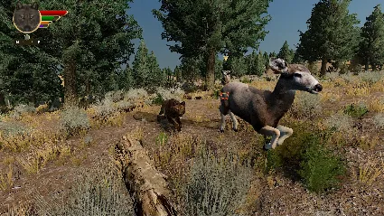 WolfQuest: Anniversary Edition 💎 STEAM РОССИЯ