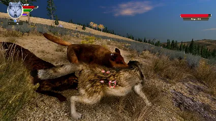 WolfQuest: Anniversary Edition 💎 STEAM РОССИЯ