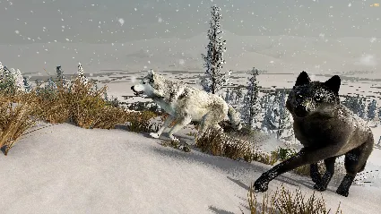 WolfQuest: Anniversary Edition 💎 STEAM РОССИЯ