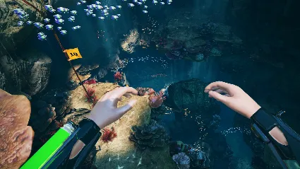 FREEDIVER: Triton Down АВТОДОСТАВКА STEAM GLOBAL МГНОВЕННО ЛИЦЕНЗИЯ