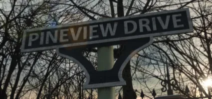 Pineview Drive 💎 АВТОДОСТАВКА STEAM GIFT РОССИЯ