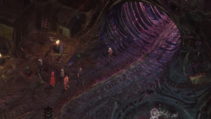 ✅❤️TORMENT: TIDES OF NUMENERA❤️XBOX ONE|XS🔑KEY✅