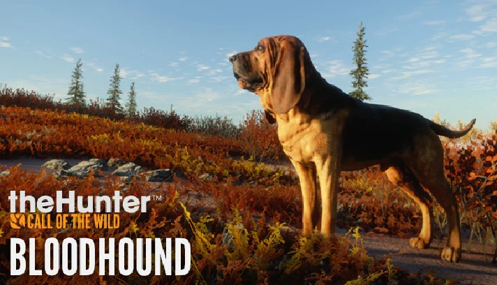 🔥theHunter: Call of the Wild - Bloodhound DLC Key+🎁