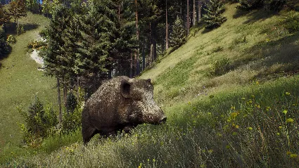 Way of the Hunter + ОБНОВЛЕНИЯ И DLS / STEAM АККАУНТ