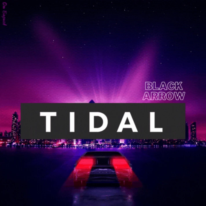 ✅ TIDAL HiFi Plus  ★ 1-2 MONTHS ★ PRIVATE ACCOUNT