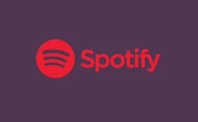  SPOTIFY PREMIUM - НОВЫЕ ИЛИ СТАРЫЕ АККАУНТЫ - 1-12M