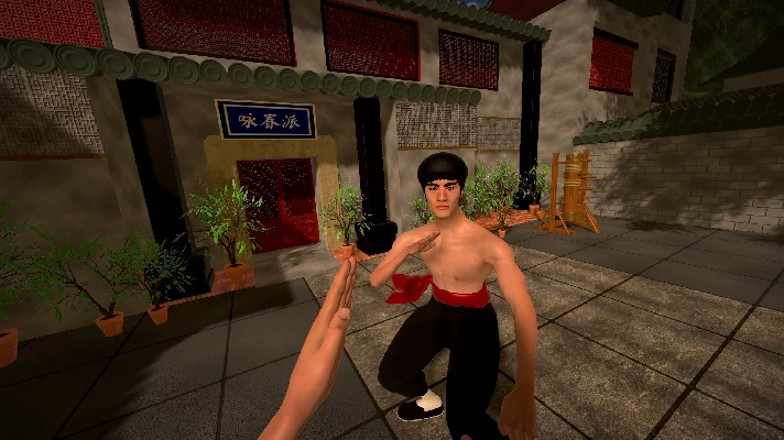 ✅Dragon Fist: VR Kung Fu (Virtual Desktop) ⭐Steam\Key⭐