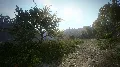 ✅❤️KINGDOM COME DELIVERANCE RO — фото 5