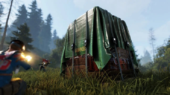 RUST  💎 STEAM GIFT RUSSIA (INSTANT DELIVERY)