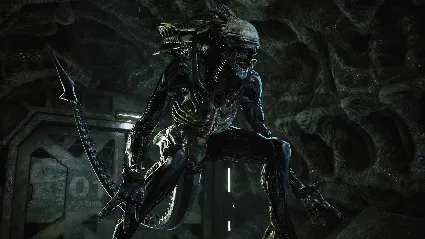 ALIENS: FIRETEAM ELITE - INTO THE HIVE EDITION STEAM РФ
