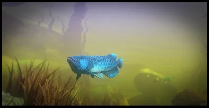 Feed and Grow: Fish АВТОДОСТАВКА STEAM РОССИЯ