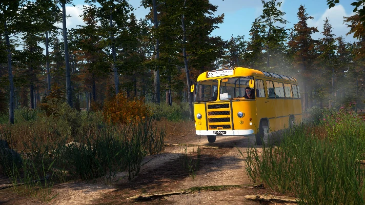 Bus World 💎 STEAM GIFT FOR RUSSIA