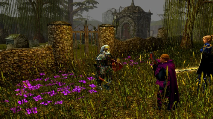 Neverwinter Nights: Darkness Over Daggerford Steam DLC