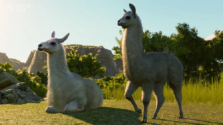 💳Planet Zoo: South America Pack Steam Key Global + 🎁