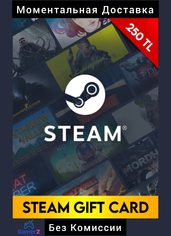 STEAM WALLET GIFT CARD - 250 TL (TURKEY) 🇹🇷🔥(No Fee)