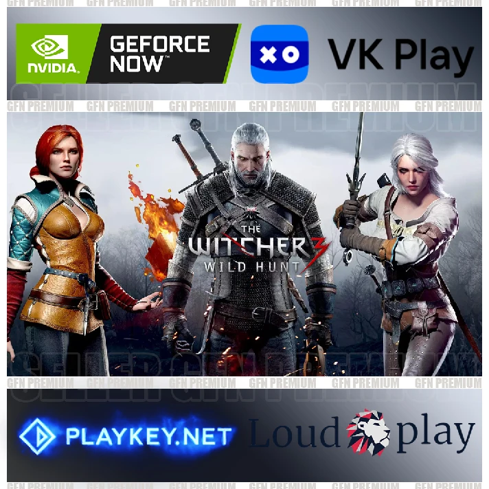 The Witcher 3 NEXT GEN⭐Offline⭐GFN Geforce NOW⭐VK Play