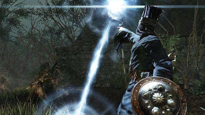 Dark Souls II (Steam key) RU CIS