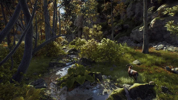 Way of the Hunter Elite Edition (steam key)