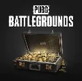 PUBG: Battlegrounds 500-24000  — фото 4