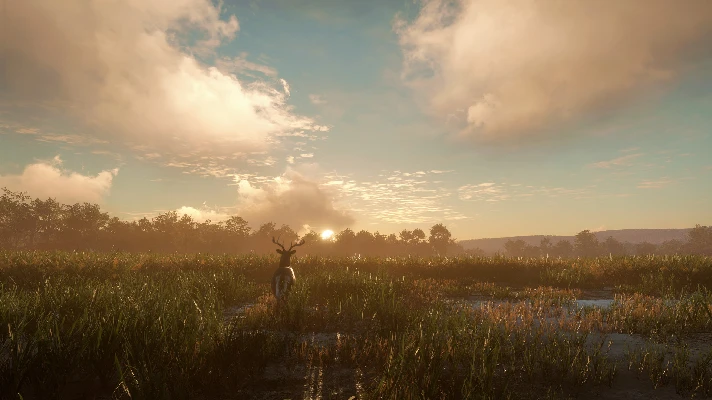 theHunter: Call of the Wild Mississippi Acres Preserve