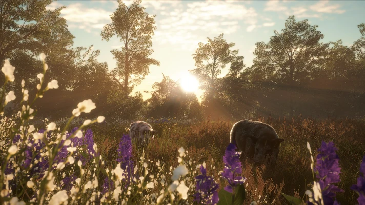 theHunter: Call of the Wild Mississippi Acres Preserve