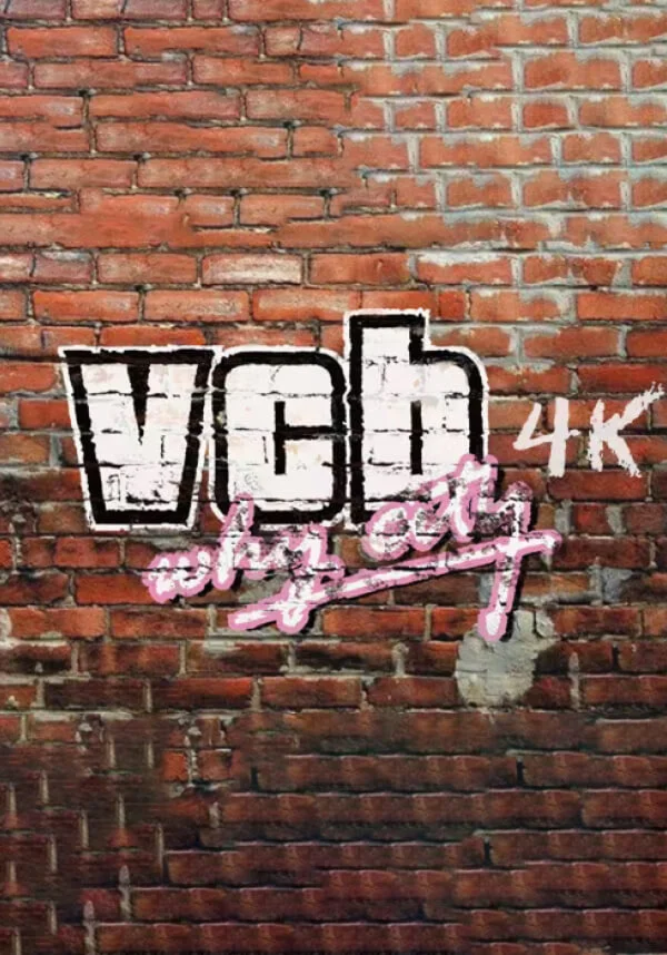 VCB: Why City 4k (Steam key) == RU
