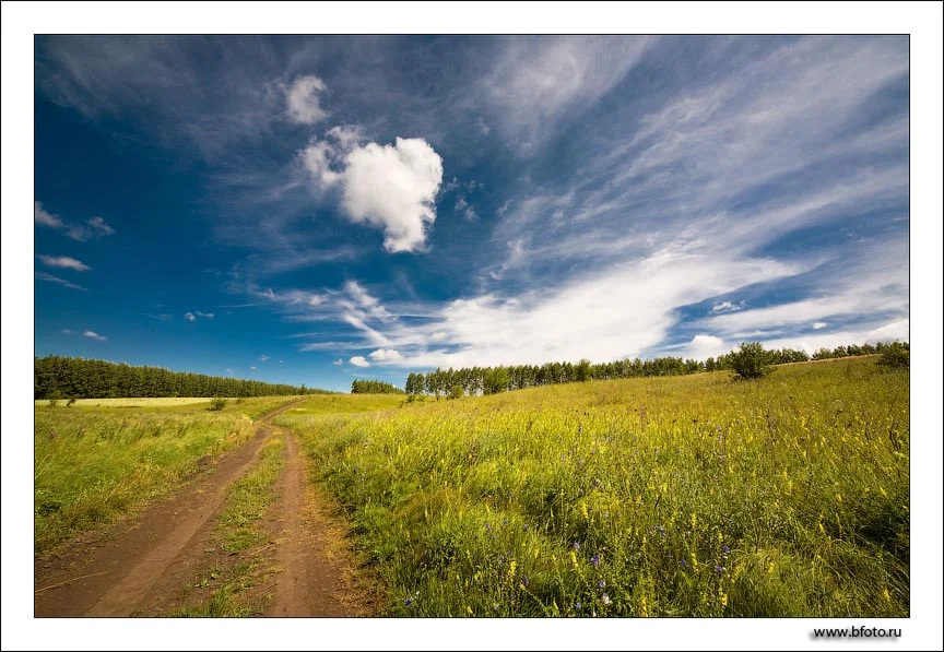 580 Летняя дорожка фото высокого разрешения, фотобанк