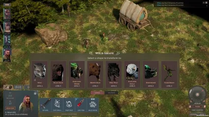Solasta: Crown of the Magister - Primal Calling STEAM KEY РФ+СНГ ЛИЦЕНЗИЯ СТИМ КЛЮЧ