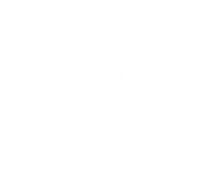 Verified [Digital Purchase]