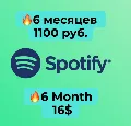 1/3/6/12 МЕСЯЦЕВ SPOTIFY PREMI — фото 6