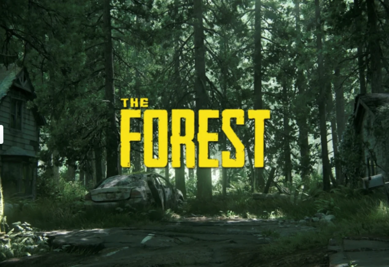  The Forest Steam 