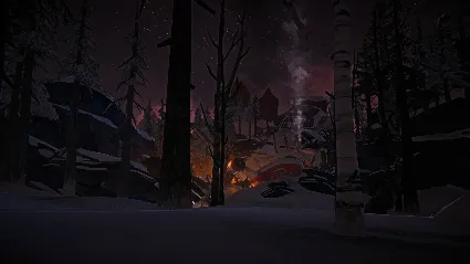 The Long Dark: Tales from the Far Territory DLC ⚡ ️АВТО