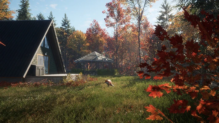 theHunter: Call of the Wild - New England Mountains