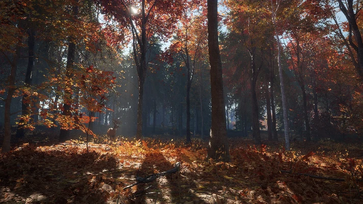 theHunter: Call of the Wild - New England Mountains