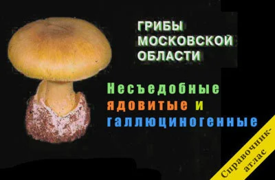 Ядовитые грибы Московской области справочник-атлас + БО