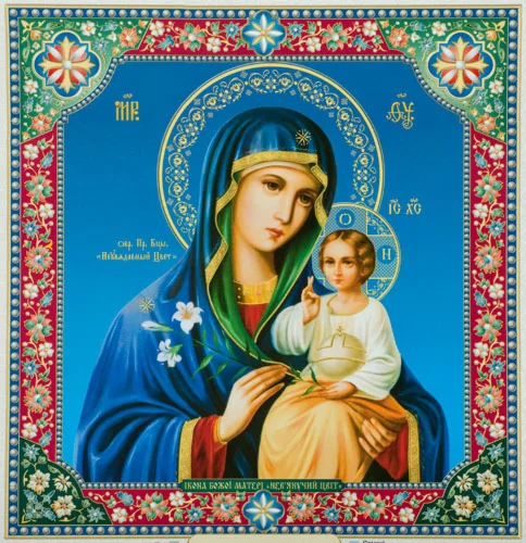 Неувядаемый Цвет_008(70х72см)