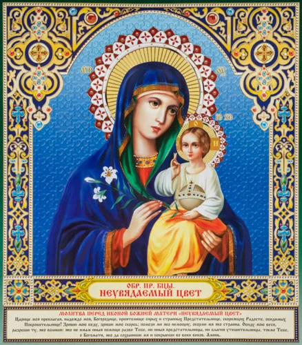 Неувядаемый Цвет_011(70х80см)