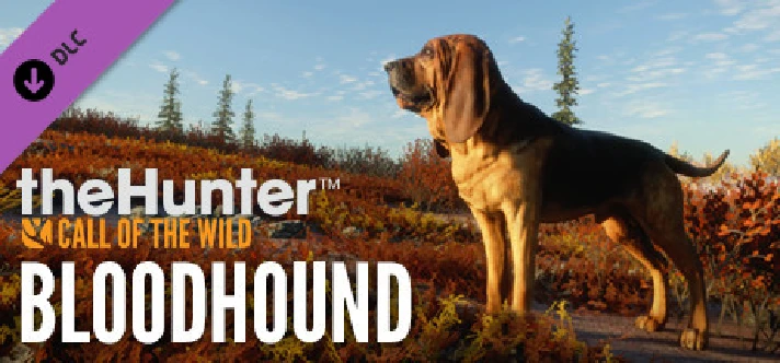 theHunter Call of the Wild - Bloodhound (DLC) STEAM KEY