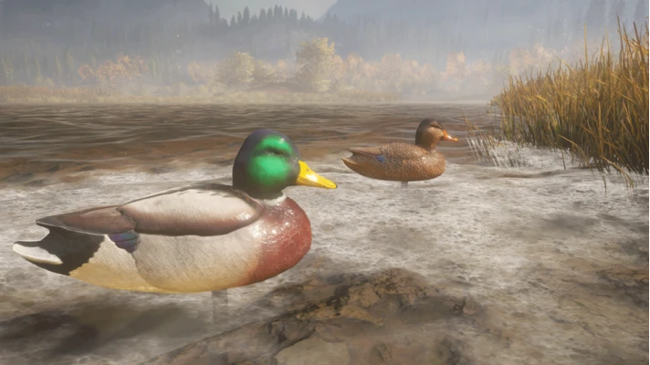 theHunter Call of the Wild - Duck and Cover Pack🔑DLC