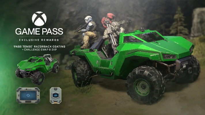 🔑 Halo Infinite Past Tense Razorback Razorback IN-GAME