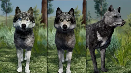 WolfQuest Anniversary - Building Character Pack 💎 DLC