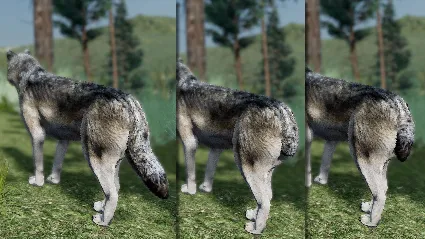 WolfQuest Anniversary - Building Character Pack 💎 DLC