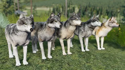 WolfQuest Anniversary - Building Character Pack 💎 DLC