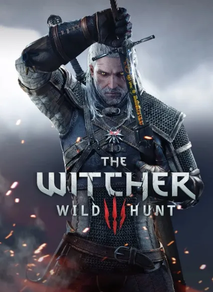 The Witcher 3: Wild Hunt 🎮 Nintendo Switch