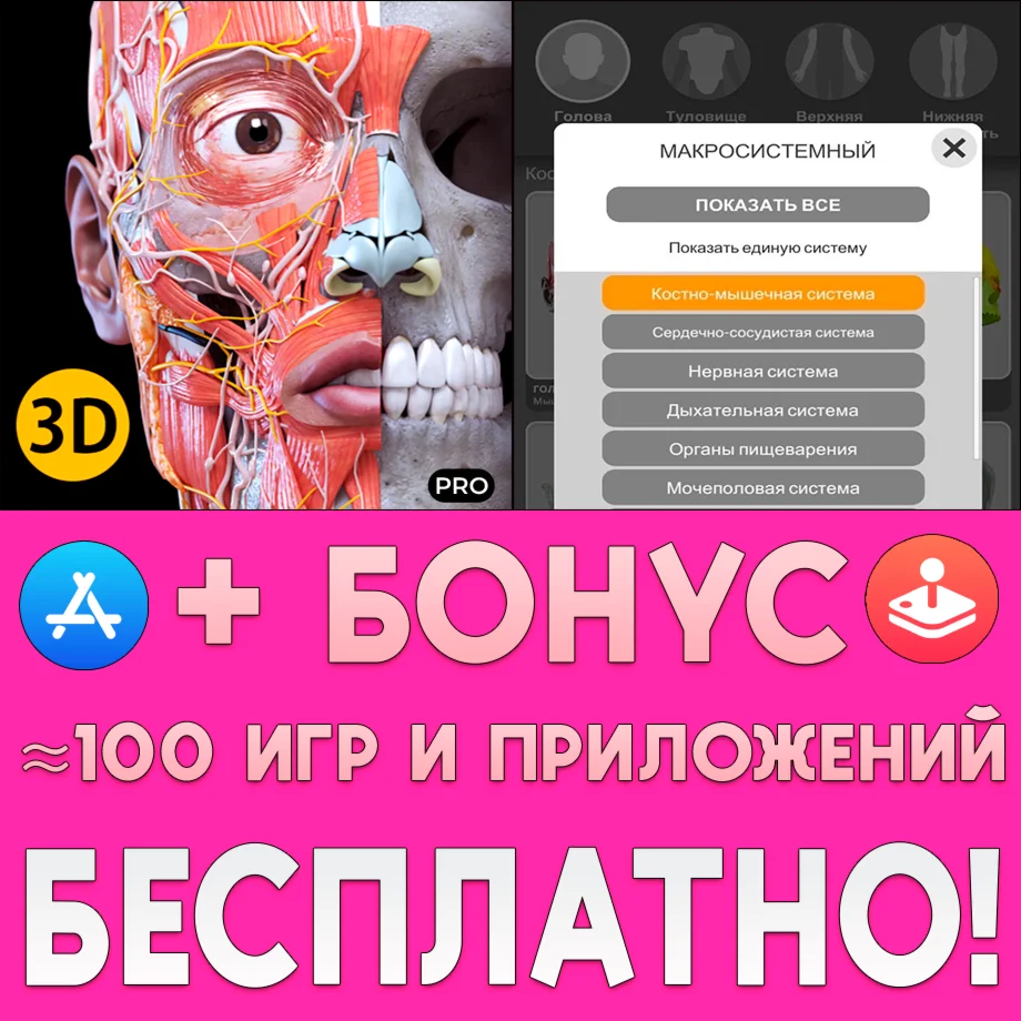  Анатомия 3D Атлас ПОЛНАЯ iPhone ios AppStore На Сутки