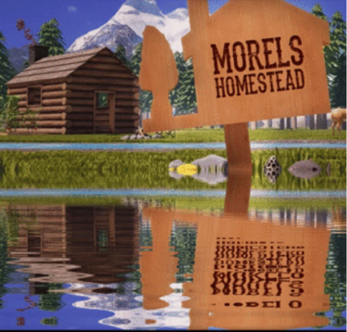 ✅Morels: Homestead (Oculus Quest 1\2\Pro) ⭐VR\Gift⭐